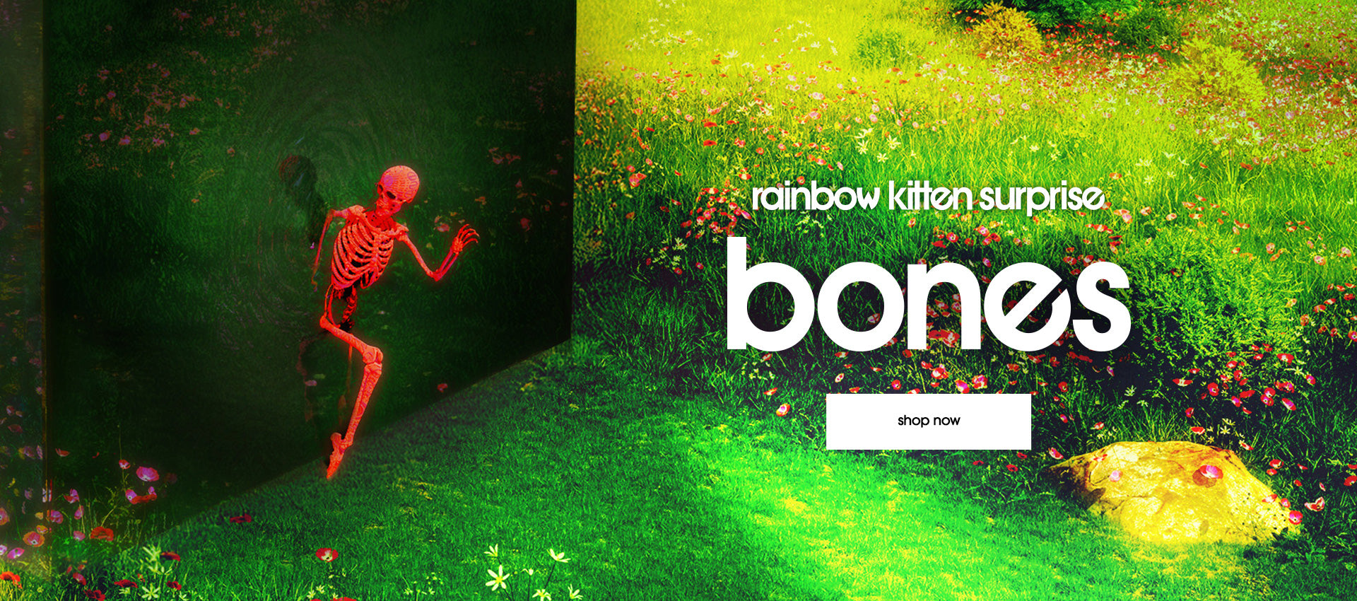 Promotional image for 'bones' by Rainbow Kitty Surprise with a skeleton figure and grassy background.
