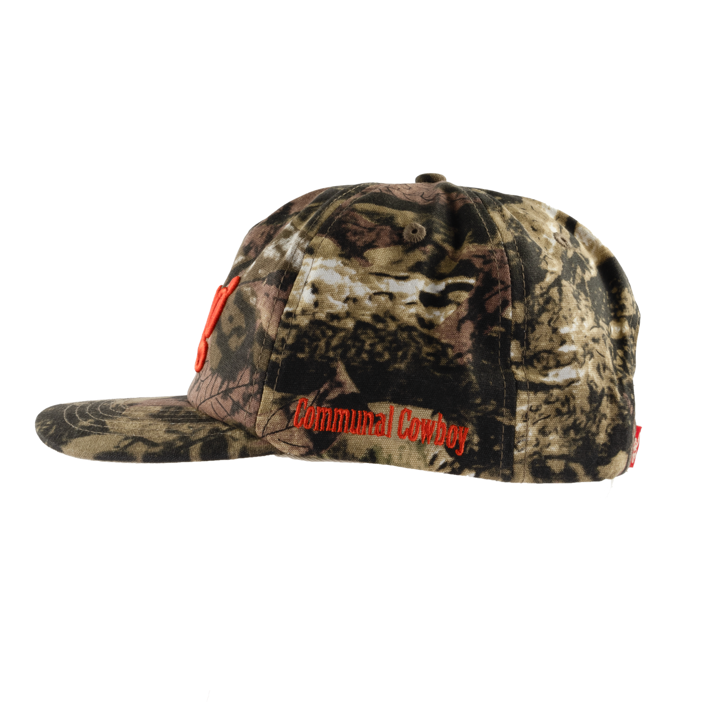 Dang Hat