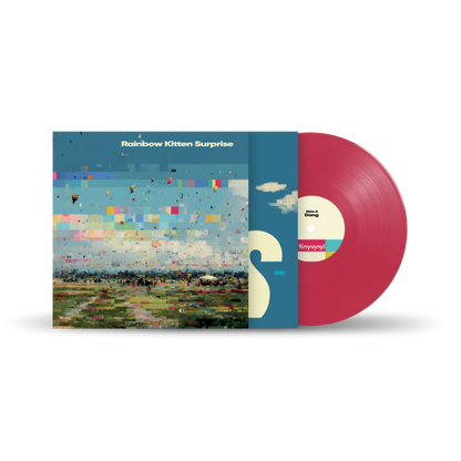 Dang Tiny Vinyl